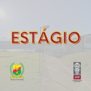 Estágio